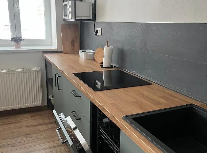 Priestranny S Parkovanim Blizko Centra Lejlighed Trenčín